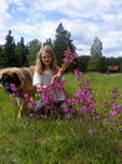 Maria och Mistral plockar sommarblommor i hagen