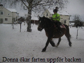 Donna kar farten uppfr backen