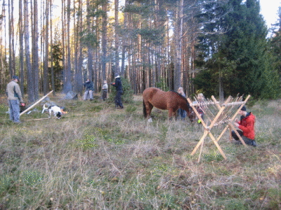 Matpaus i skogen.